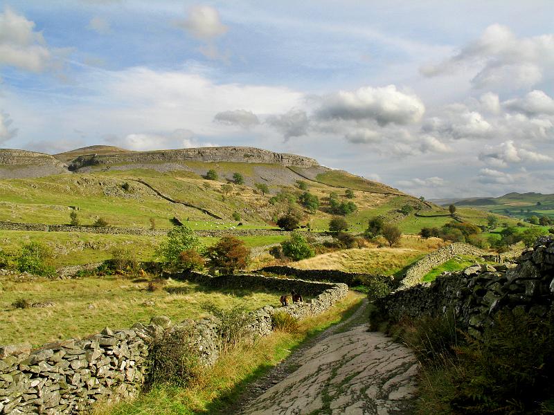 Path-to-Wharfe-1.jpg - "Path to Wharfe"   -by Gavin Dewar. - Drovers road from Crummock Dale, near Austwick.
